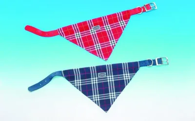 Produktbild von Nobby Halsband mit Tuch L: 50 cm, B: 20 mm blau