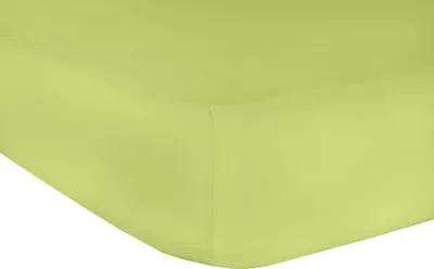 Produktbild von Mr.Sandman Elasthan Classic Topper Spannbetttuch Kiwi 160x200-210cm 220g/m²