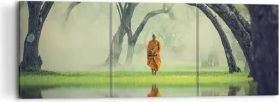 Produktbild von Bild auf Leinwand - Leinwandbild - 3 Teile - Mönch Wald Nebel - 120x40cm - Wand Bild - Wanddeko - Wandbilder - Leinwanddruck - Bilder - Wanddekoration - Leinwand bilder - Wandbild - CA120x40-4286