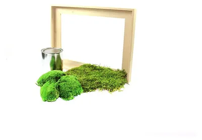 Produktbild von Gardners' "DIY" Moosbild, 30x40 cm, kombiniertes Moosbild mit Hügelmoos und Flachmoos, in natürlicher Ausführung
