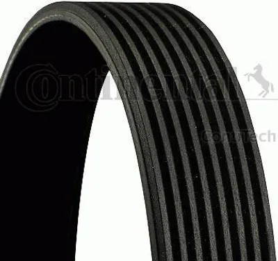 Produktbild von Continental ContiTech 8PK2440 Keilrippenriemen passend für MERCEDES-BENZ S-Klasse Limousine (W140) 2440mm
