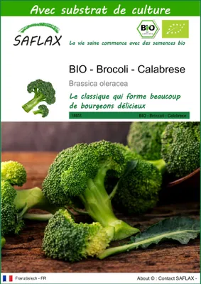 Image de SAFLAX  -- Brocoli - Calabrese - 100 graines - Avec substrat - Brassica