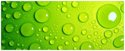 Produktbild von Wallario Premium Glasbild, freischwebende Optik, kräftige Farben, Größe 80 x 32 cm Motiv Wassertropfen auf Grün