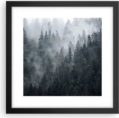 Produktbild von Gerahmtes Poster - Schwarzer Rahmen - Wald Baum Natur - 30x30 cm - Wand Bild - Wanddeko - Wandbilder - Kunstposter - Wandposter - Bilderrahmen - Bilder - Kunstdruck - Wandbild - P2BAC30x30-4074