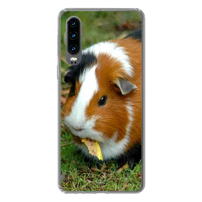 Produktbild von MuchoWow® Handyhülle Schutzhülle Hülle für Huawei P30 Meerschweinchen draußen Silikon Softcase Handy Hülle - Kartenbesitzer