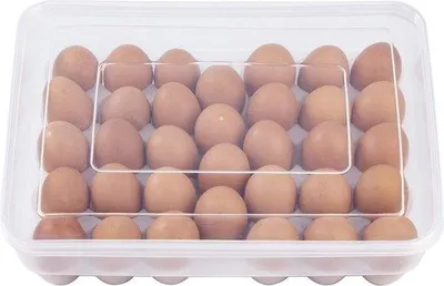 Image de Grande boîte à œufs en plastique pour le réfrigérateur - avec couvercle - pour 34 œufs