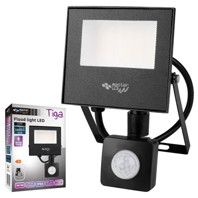 A product shot of a flood light with a motion sensor, shown next to its packaging.