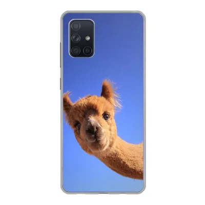 Produktbild von MuchoWow® Handyhülle Schutzhülle Hülle für Samsung Galaxy A51 Alpaka - Braun - Blau Silikon Softcase Handy Hülle - Schutzabdeckung