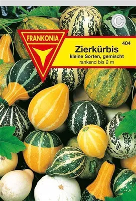 Produktbild von Zierkürbis kleine Sorten