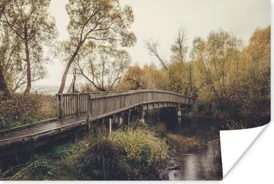 Produktbild von MuchoWow® Poster Herbst - Brücke - Bäume 180x120 cm - Fotoplakat