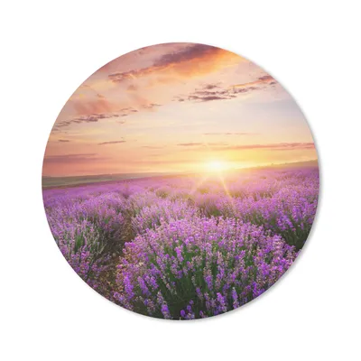 Produktbild von MuchoWow® Mauspad Mousepad Lavendel - Sonne - Blumen 20x20 cm - Mousepads - Maus Mat - Pad - Mausunterlage - Schreibtischmatte