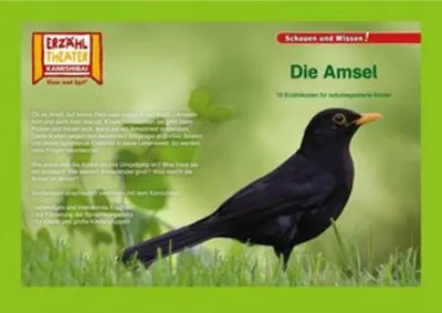Obrázek produktu pro Kamishibai: Die Amsel