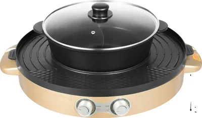 Image de Hot Pot électrique, fonction gril, design portable, or