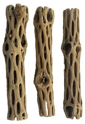 Cholla-Holz 3 Stück 6 Zoll für Aquarium & Terrarium