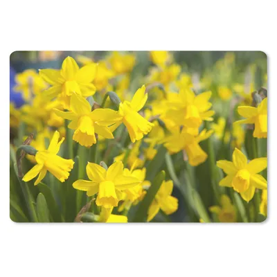 Produktbild von MuchoWow® Mauspad Mousepad Blume - Narzissen - Gelb 27x18 cm - Mousepads - Maus Mat - Pad - Mausunterlage - Büroartikel - Desk Matten