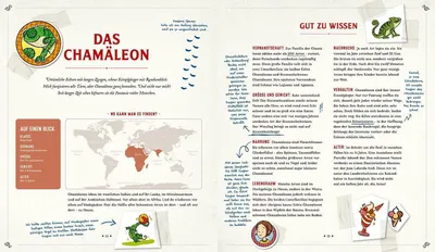 Obrázek produktu pro Die Schule der magischen Tiere: Mister Morrisons gesammeltes Tierwissen