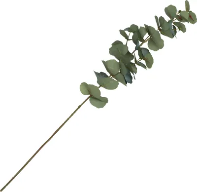 Produktbild von Chaks Kunstlicher Zweig Eukalyptus - 69 cm - Kunstliche Seidenblumen