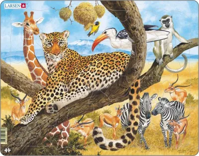Produktbild von Leopard Rahmenpuzzle 48 Teile