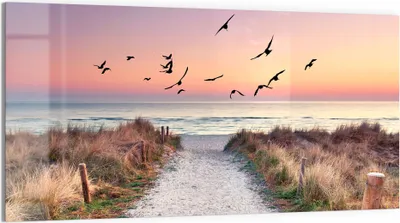 Produktbild von DEQORI Magnettafel Glas 100x50 cm 'Strandaufgang zur Ostsee' beschreibbar Whiteboard