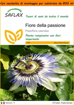 Immagine prodotto di SAFLAX Garden in the bag - Fiore della passione - 25 semi - Passiflora