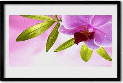 Produktbild von Bild 60x40 MDF-Rahmen Wandkunst Blume Pflanze Blätter