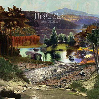 Produktbild von Tingsek-Amygdala (Vinyl)