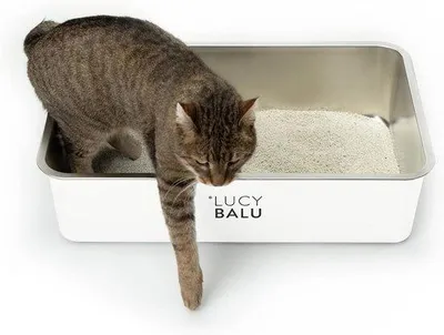 Productafbeelding van Famanu Katzenbak XXL, gemaakt van roestvrij staal - Hygiënisch, open ontwerp in wit