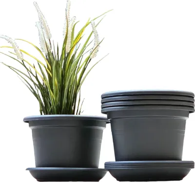 Produktbild von Basic 15cm Anthrazit mit Untersetzer 4er SET