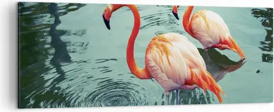 Produktbild von Bild auf Leinwand - Leinwandbild - Einteilig - Rosa Flamingos Wasser - 140x50cm - Wand Bild - Wanddeko - Wandbilder - Leinwanddruck - Bilder - Wanddekoration - Leinwand bilder - AB140x50-4203