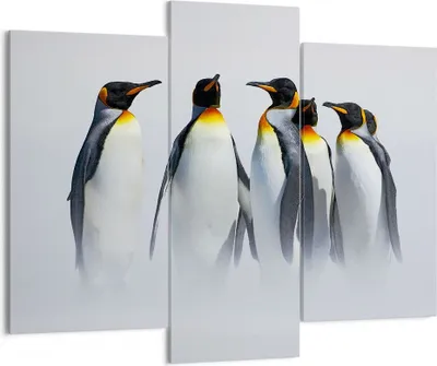 Produktbild von Bild auf Leinwand - Leinwandbild - Pinguine Winter Schnee Spaziergang - 130x100cm - Wand Bild - Wanddeko - Leinwanddruck - Bilder - Kunstdruck - Leinwand bilder - Wandkunst - CB130x100-2893