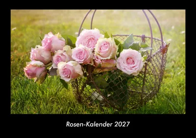 Produktbild von Rosen-Kalender 2027 Fotokalender DIN A3