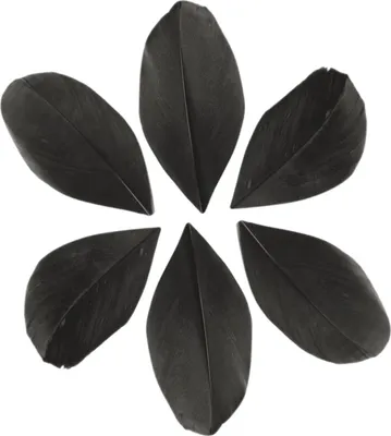 Immagine prodotto di 100 piume tagliate - nero 6 cm