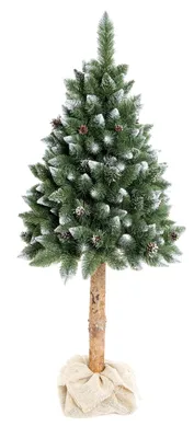 Obrázek produktu pro Nohel Garden stromek BOROVICE umělý + šišky a stříbrné konce+kmen Výška: 160 cm