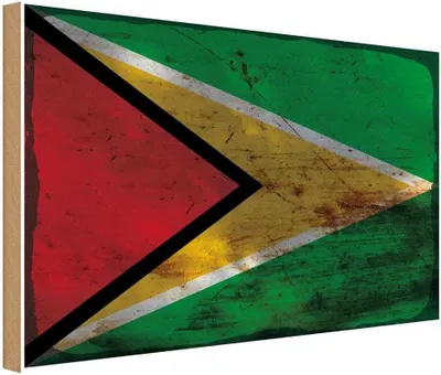 Produktbild von vianmo Holzschild 30x40 cm Guyana Flagge Fahne Wappen