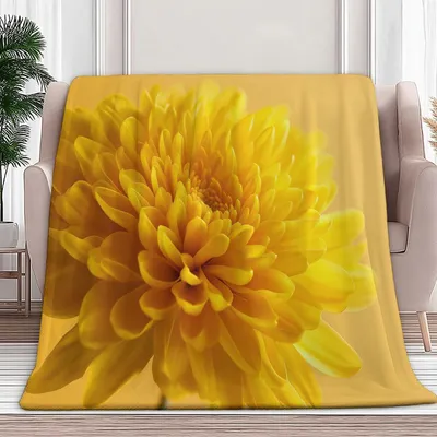 Imagen del producto de Chaquetas impermeables para niños en amarillo