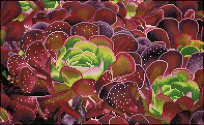 Produktbild von Diamond Dotz Diamond Painting Set - Sukkulenten - kreatives Spielzeug