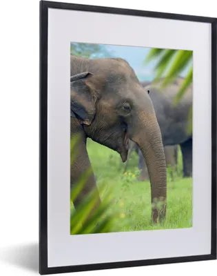 Produktbild von MuchoWow® MuchoWow® Gerahmtes Poster Elefant - Palme - Tiere 30x40 cm - Poster mit zchwarzem Bilderrahmen - Wandposter Schlafzimmer