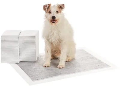 Productafbeelding van A. Basis trainingspads voor honden en puppy's, met koolstof voor geurcontrole