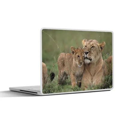 Produktbild von MuchoWow® Laptop Aufkleber Sticker Cover Löwe - Jungtier - Wild 30x22 cm - Laptop-Sticker