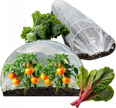 Zdjęcie produktu dla Mini tunel foliowy do ogrodu folia na grzadkę 500x60x40