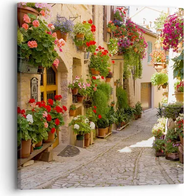 Produktbild von Bild auf Leinwand - Leinwandbild - Blume Straße Haus - 30x30cm - Wand Bild - Wanddeko - Wandbilder - Leinwanddruck - Bilder - Kunstdruck - Wanddekoration - Leinwand bilder - Wandkunst - AC30x30-3586