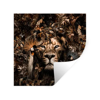 Produktbild von MuchoWow® Wandtattoo Wandsticker Wandaufkleber Tiere - Schmetterlinge - Vögel 80x80 cm Selbstklebend und Repositionierbar - Wierderverwendbar - Selbstklebend