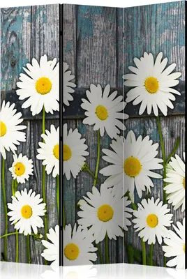 Obrázek produktu pro Oboustranný paraván Květiny 135x172 cm 3-dílný bílý