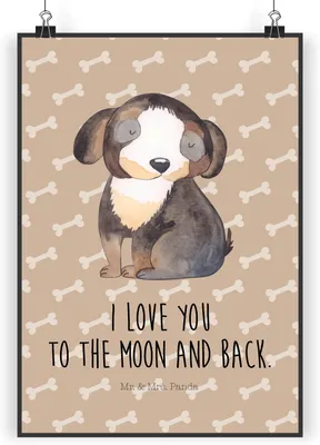Produktbild von Mr. & Mrs. Panda Bild Hund Entspannen DIN A3 - Hundeglück - Geschenk, Sprüche, Wandbild, Liebe, drucke, Niedlich, Verliebt, Kunstdruck, Wanddekoration, wanddeko