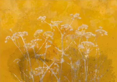Produktbild von Vlies Fototapete Natur 450x315 cm Tapeten Wandtapete XXL Blumen Pflanzenmotiv wie gemalt Botanik b-A-0822-a-a
