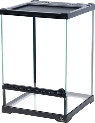 Produktbild von Terra Della Glas-Terrarium schwarz, Maße: 21 x 21 x 30cm
