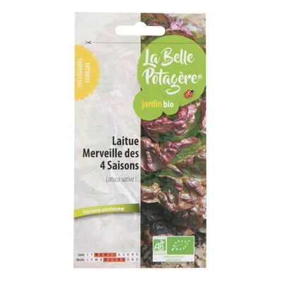 Produktbild von 4-Jahreszeiten-Zaubersalat - 0,5 g
