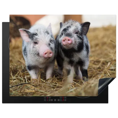 Produktbild von KitchenYeah© Herdabdeckplatte Schwein - Tiere - Ferkel , 77x59cm, Küche Deko, Glaskeramikkochfeld Herdabdeckung, Abdeckplatte fùr Kochfeld