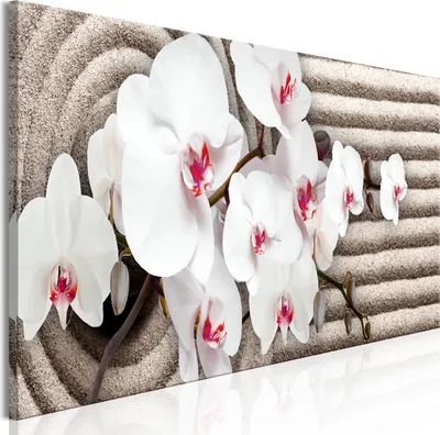 Produktbild von Modernes Wandbild b-C-0759-b-a (150x50 cm) - 1 Teilig Bilder Fotografie auf Leinwand Foto Bild Dekoration Wand Bilder Kunstdruck BLUMEN ORCHIDEE