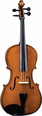 Immagine prodotto di Viola acustica Valencia VA400 4/4